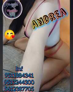 IMG 20260928 WA0010 IMG 20260928 WA0010