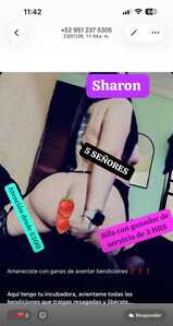 WhatsApp Image 2026 07 23 at 11.47.57 AM