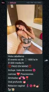 Screenshot 20260820 061020 WhatsApp
