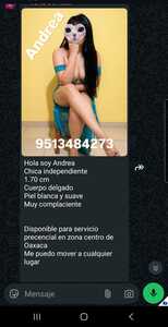 IMG 20260825 WA0117