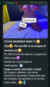 Screenshot 20260919 071825 WhatsApp