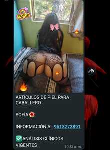 Screenshot 20261024 110642 WhatsApp