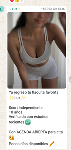 Screenshot 2026 09 08 13 39 04 740 com.whatsapp